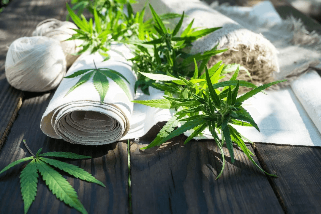 Innovations in Hemp Textile Production for a Greener Future - Fabric ...